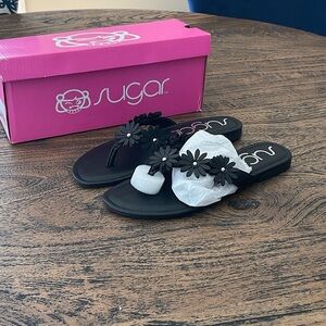 Sugar Women's Black Daisy Sandals